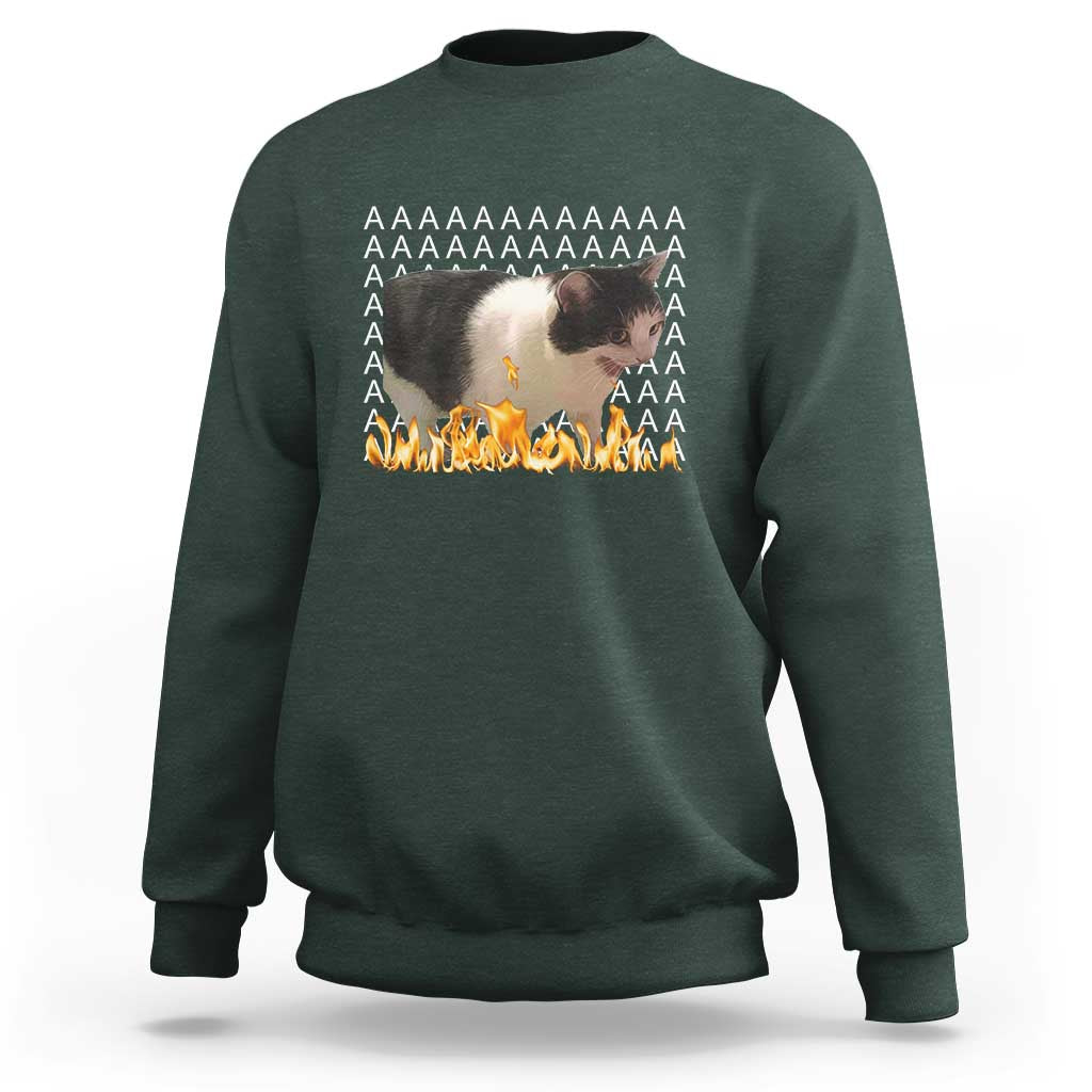 Screaming Cat Meme Sweatshirt Funny Internet Gen Z Cat Lover