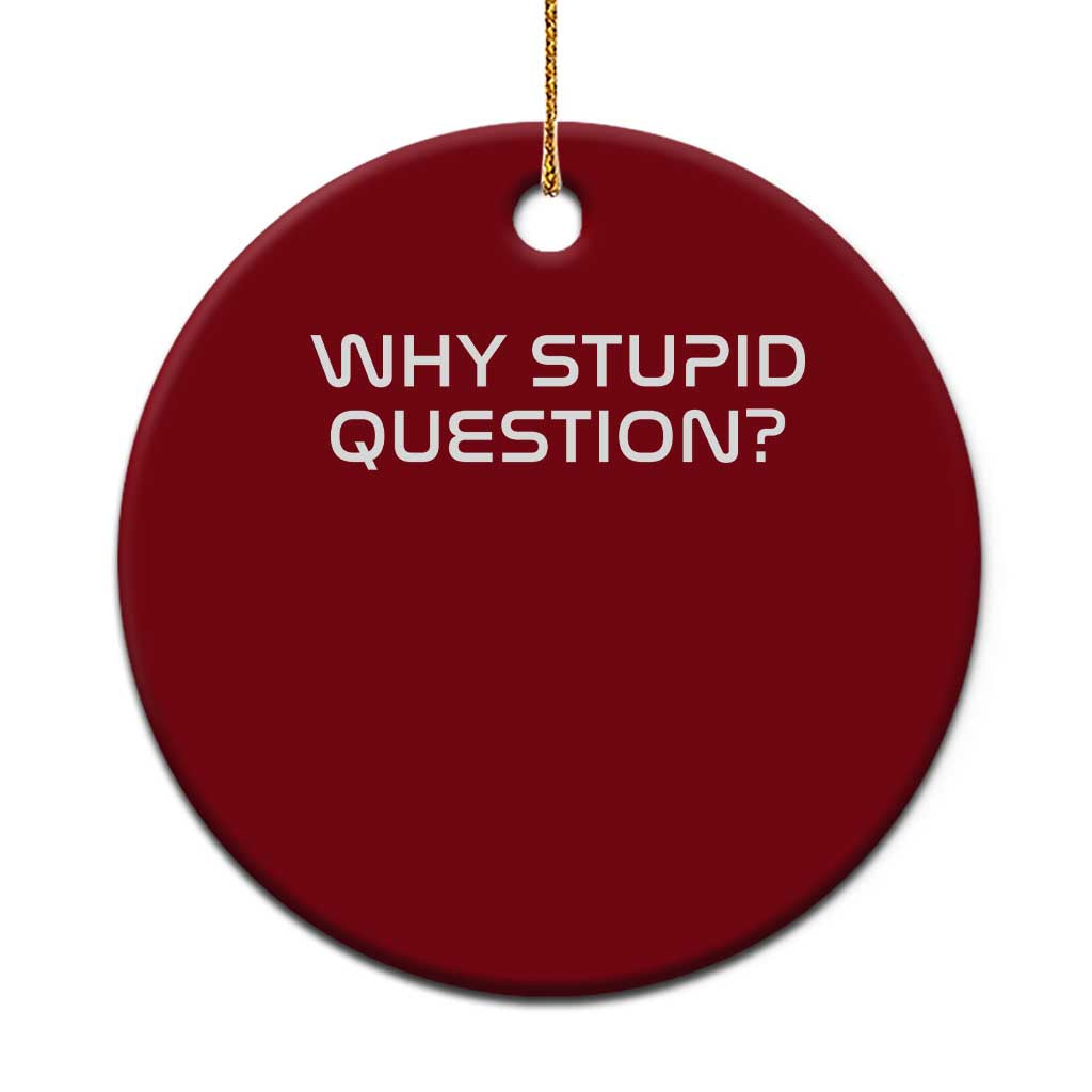 Why Stupid Question Ceramic Ornament Funny Space Quote Sci Fi Book