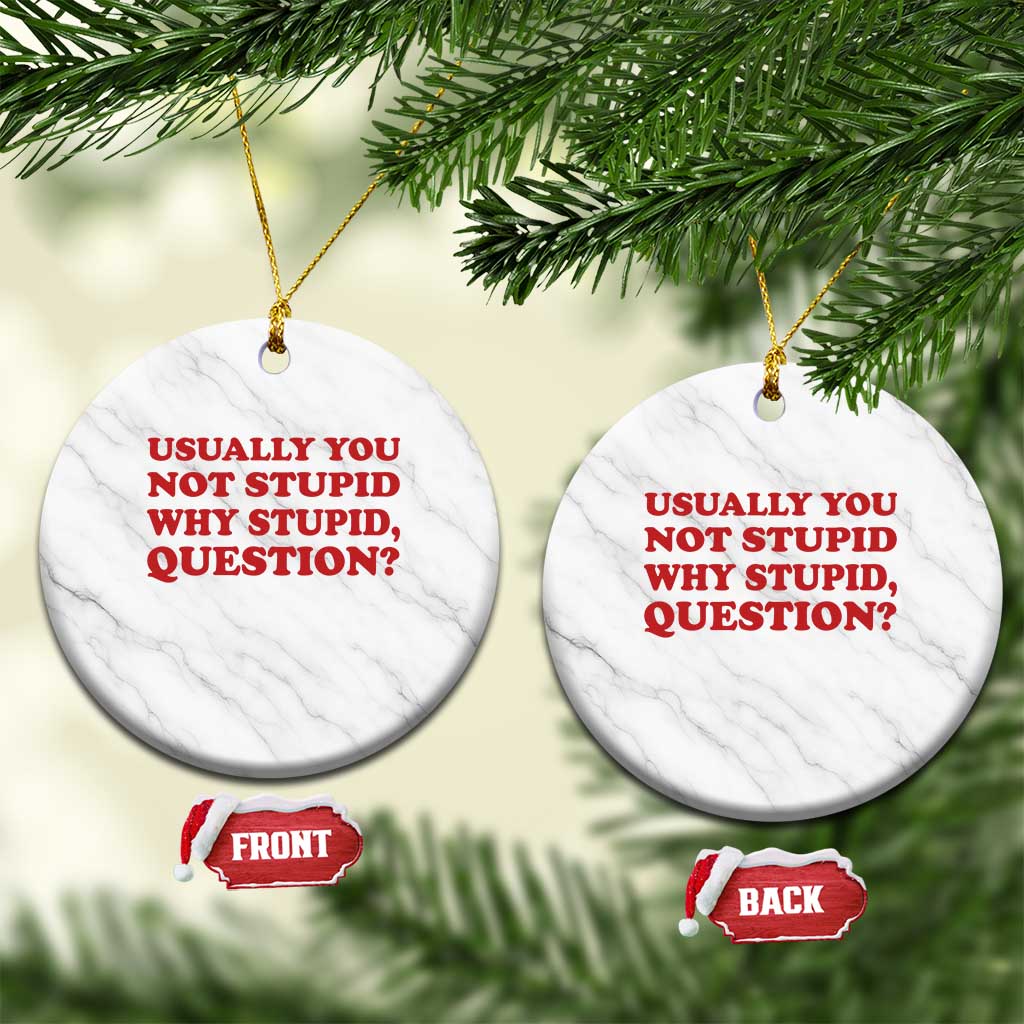 Usually You Not Stupid Why Stupid Question Ceramic Ornament Funny Space Quote Sci Fi Book