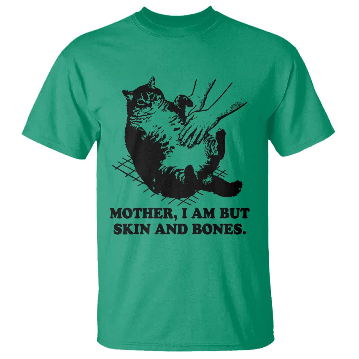 Funny Cat Mom Cat Lover T Shirt Mother I Am But Skin and Bones