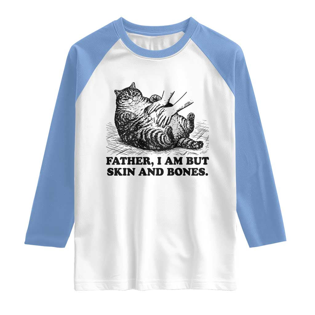 Funny Cat Dad Cat Lover Raglan Shirt Father I Am But Skin and Bones
