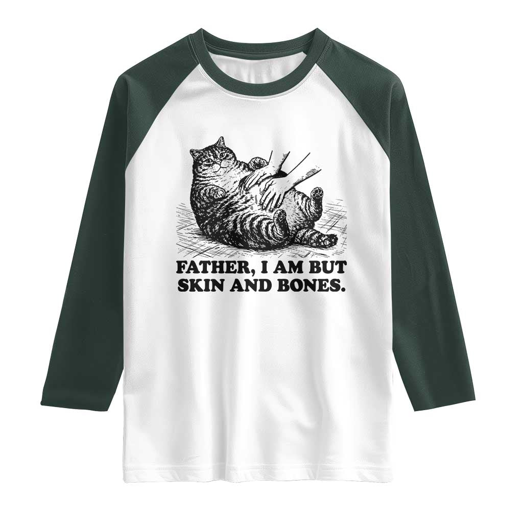 Funny Cat Dad Cat Lover Raglan Shirt Father I Am But Skin and Bones