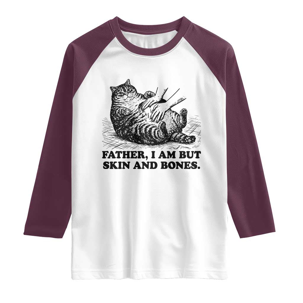 Funny Cat Dad Cat Lover Raglan Shirt Father I Am But Skin and Bones
