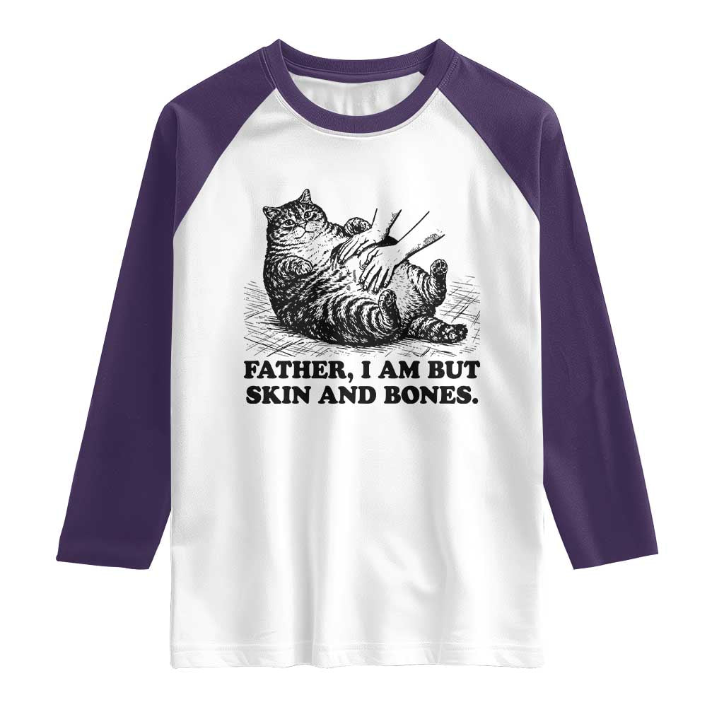 Funny Cat Dad Cat Lover Raglan Shirt Father I Am But Skin and Bones