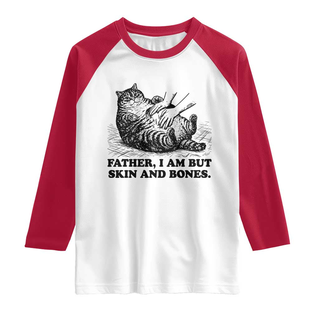 Funny Cat Dad Cat Lover Raglan Shirt Father I Am But Skin and Bones
