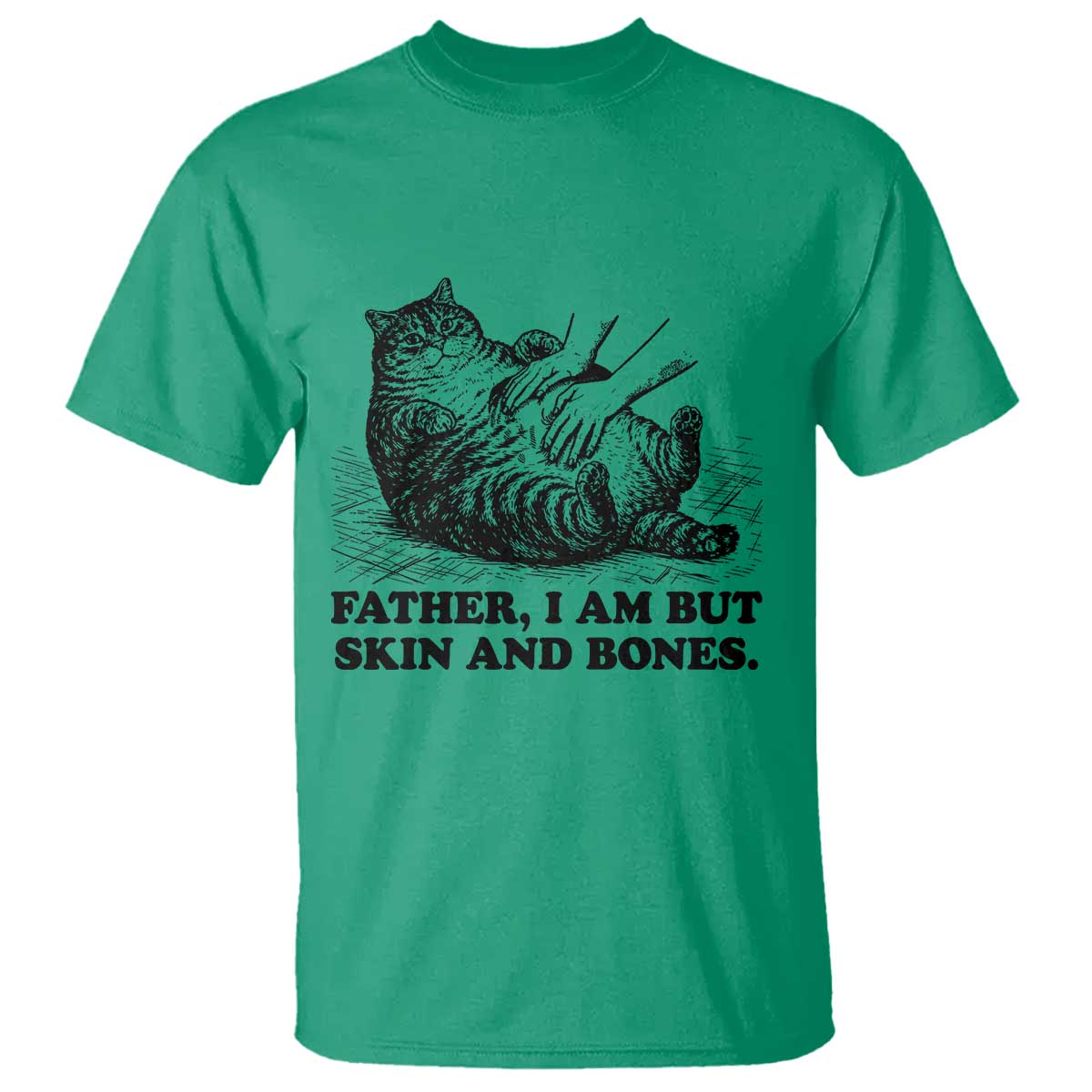 Funny Cat Dad Cat Lover T Shirt Father I Am But Skin and Bones