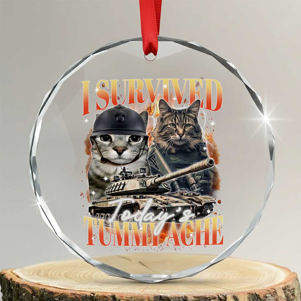 Tummy Ache Survivor Cat Meme Crystal Glass Ornament Funny Saying Cats Bootleg - Wonder Print Shop