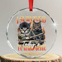 Tummy Ache Survivor Cat Meme Crystal Glass Ornament Funny Saying Cats Bootleg - Wonder Print Shop