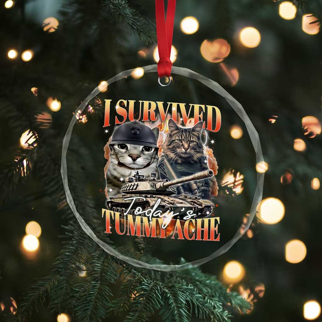 Tummy Ache Survivor Cat Meme Crystal Glass Ornament Funny Saying Cats Bootleg - Wonder Print Shop