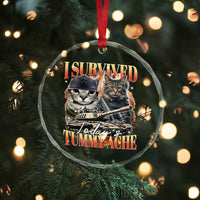 Tummy Ache Survivor Cat Meme Crystal Glass Ornament Funny Saying Cats Bootleg - Wonder Print Shop