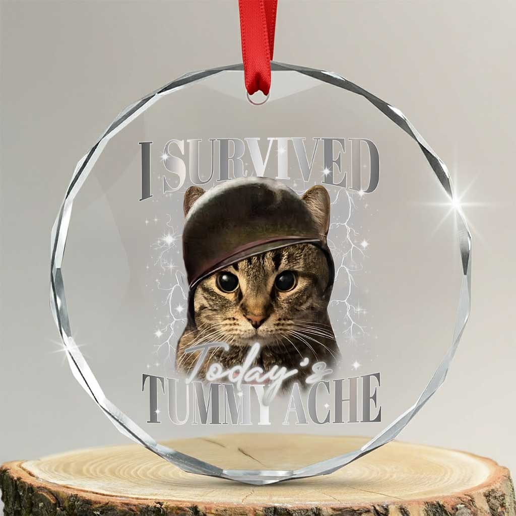 Tummy Ache Survivor Cat Meme Crystal Glass Ornament Funny Saying Cats Cat Bootleg - Wonder Print Shop