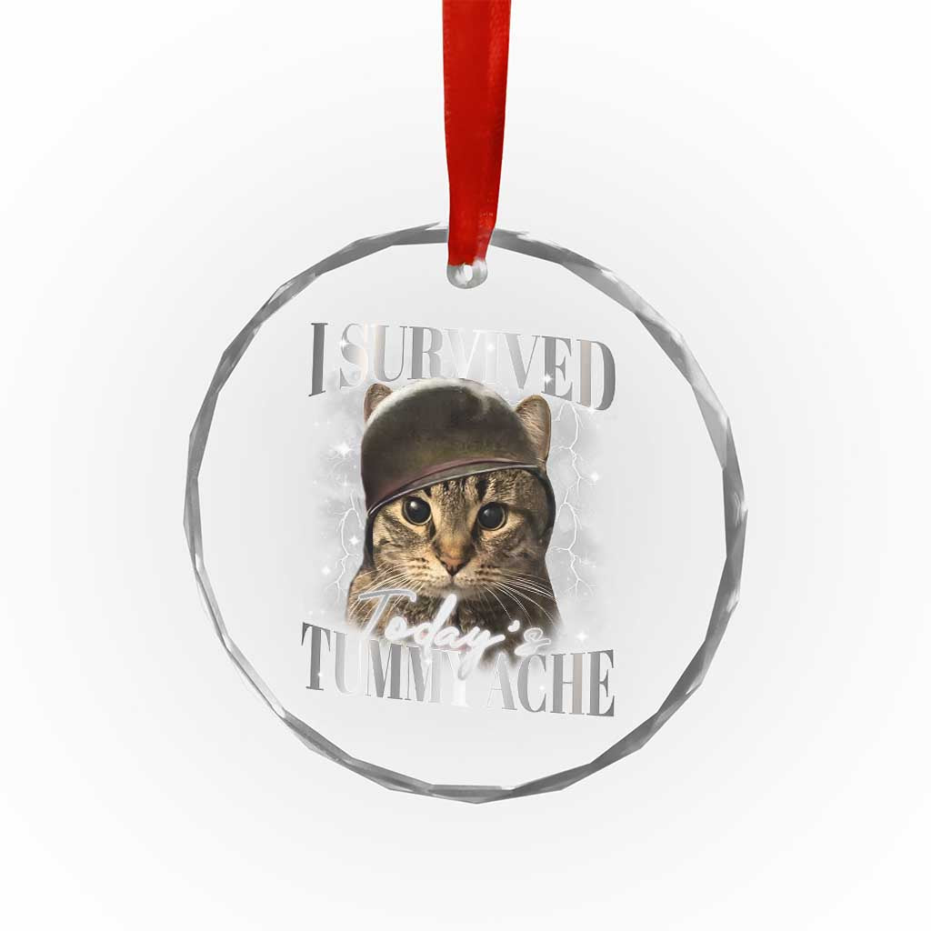 Tummy Ache Survivor Cat Meme Crystal Glass Ornament Funny Saying Cats Cat Bootleg - Wonder Print Shop