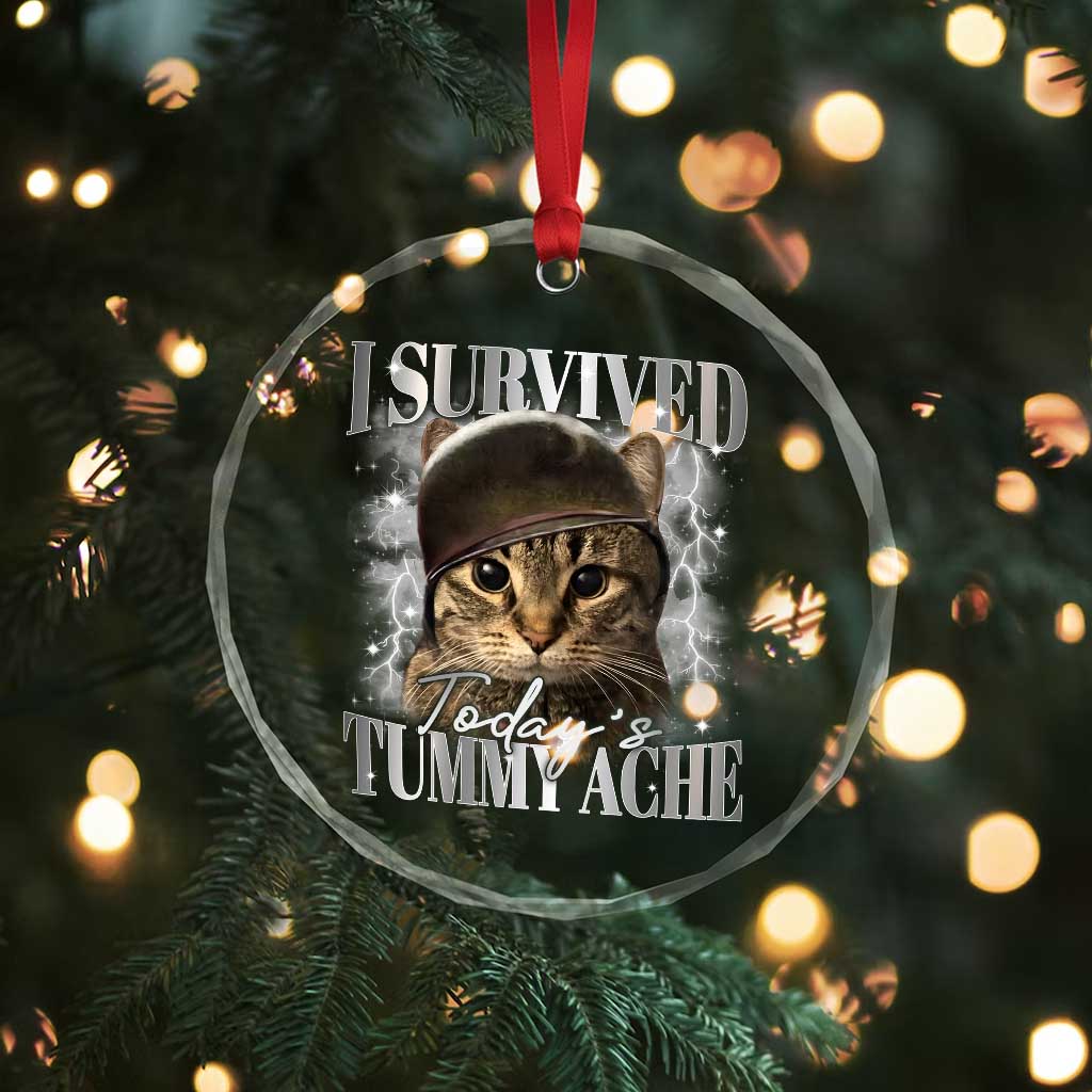 Tummy Ache Survivor Cat Meme Crystal Glass Ornament Funny Saying Cats Cat Bootleg - Wonder Print Shop