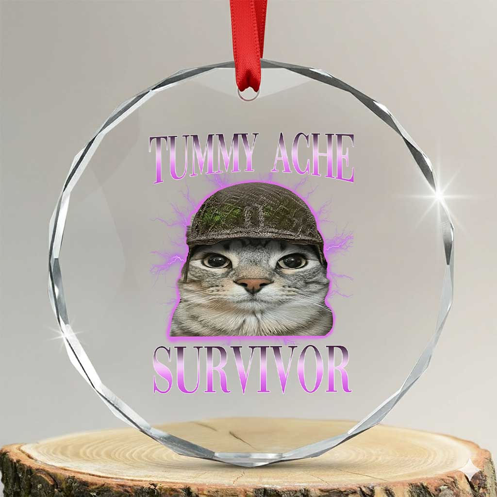 Tummy Ache Survivor Cat Meme Crystal Glass Ornament Funny Trending Oddly Specific Brainrot Memes