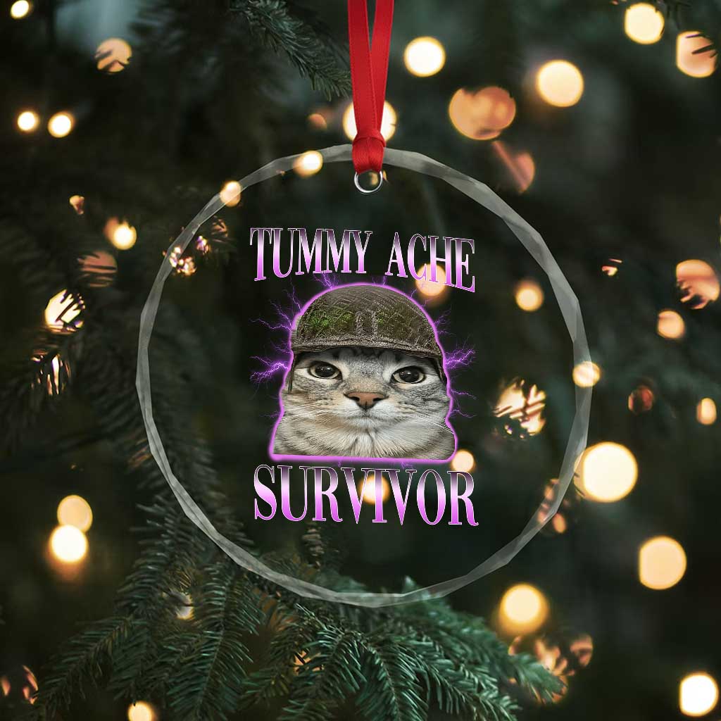 Tummy Ache Survivor Cat Meme Crystal Glass Ornament Funny Trending Oddly Specific Brainrot Memes