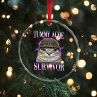 Tummy Ache Survivor Cat Meme Crystal Glass Ornament Funny Trending Oddly Specific Brainrot Memes