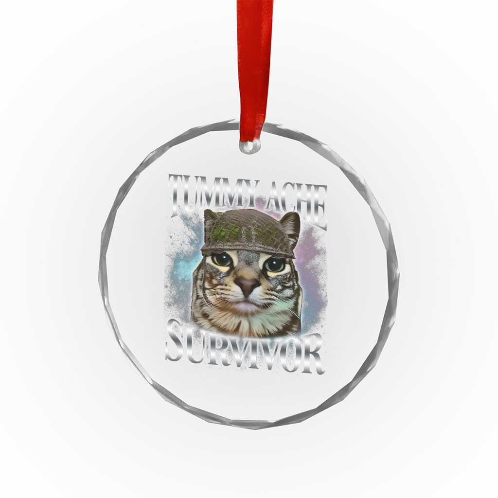 Tummy Ache Survivor Cat Meme Crystal Glass Ornament Vintage 90s Graphic Funny Stomach Issues Bootleg - Wonder Print Shop