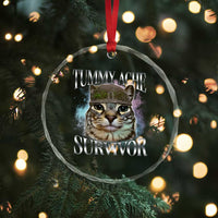Tummy Ache Survivor Cat Meme Crystal Glass Ornament Vintage 90s Graphic Funny Stomach Issues Bootleg - Wonder Print Shop