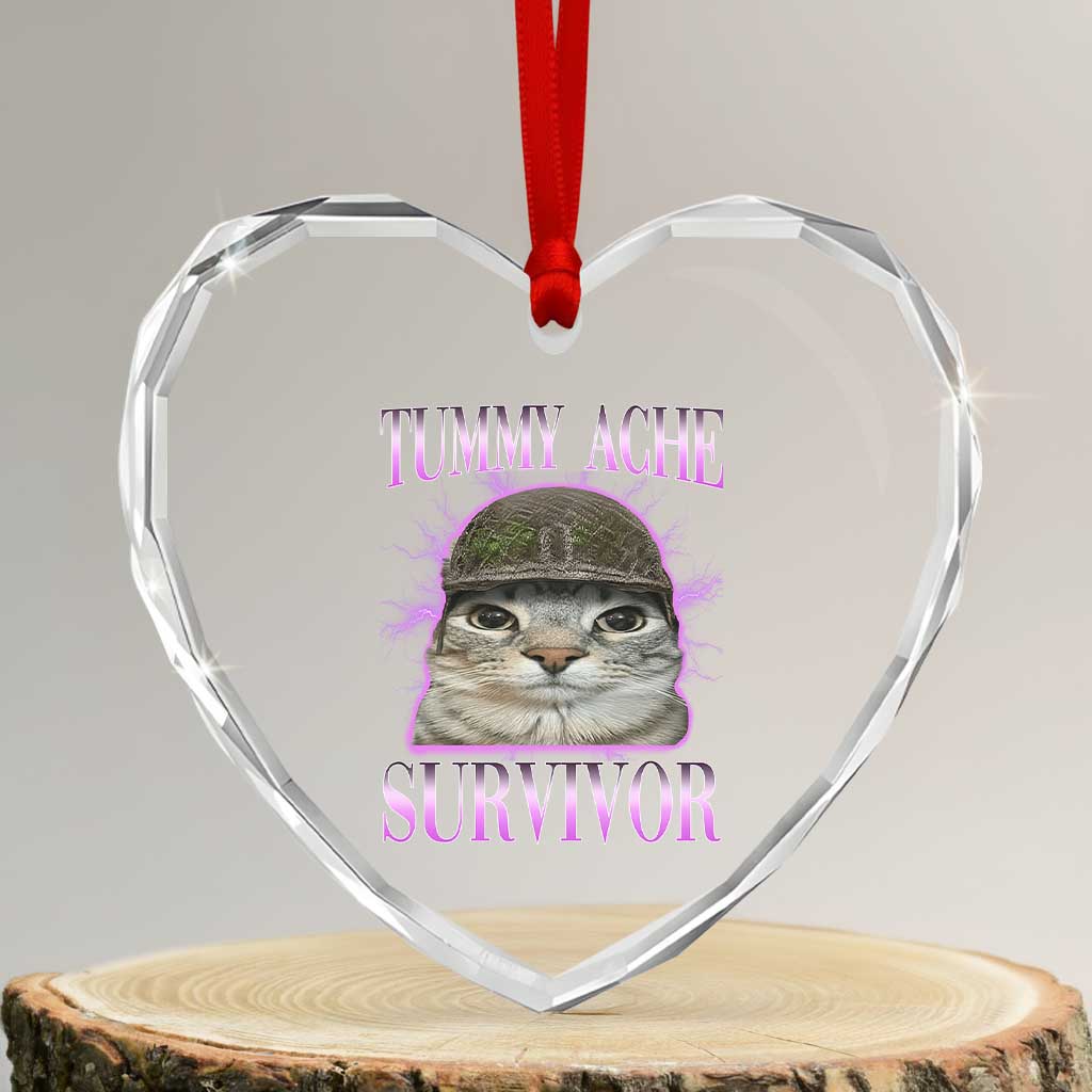 Tummy Ache Survivor Cat Meme Heart Crystal Glass Ornament Funny Trending Oddly Specific Brainrot Memes