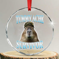 Tummy Ache Survivor Crystal Glass Ornament Funny Capybara Meme For Animal Lover - Wonder Print Shop