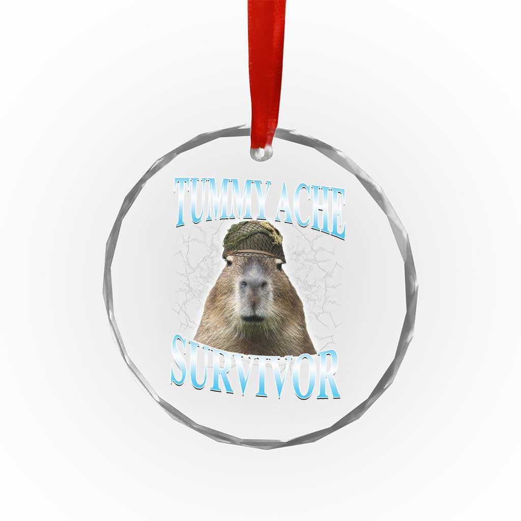 Tummy Ache Survivor Crystal Glass Ornament Funny Capybara Meme For Animal Lover - Wonder Print Shop