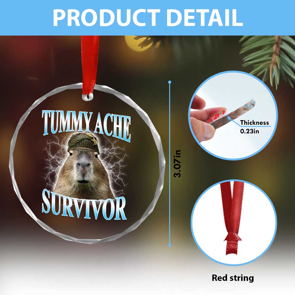 Tummy Ache Survivor Crystal Glass Ornament Funny Capybara Meme For Animal Lover - Wonder Print Shop