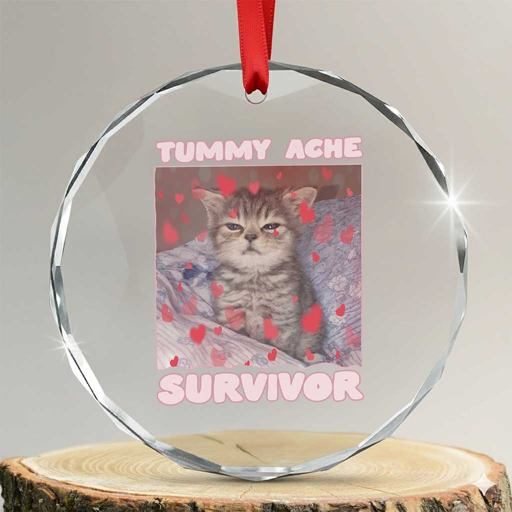 Tummy Ache Survivor Crystal Glass Ornament Funny Cute Cat Meme - Wonder Print Shop