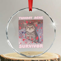 Tummy Ache Survivor Crystal Glass Ornament Funny Cute Cat Meme - Wonder Print Shop