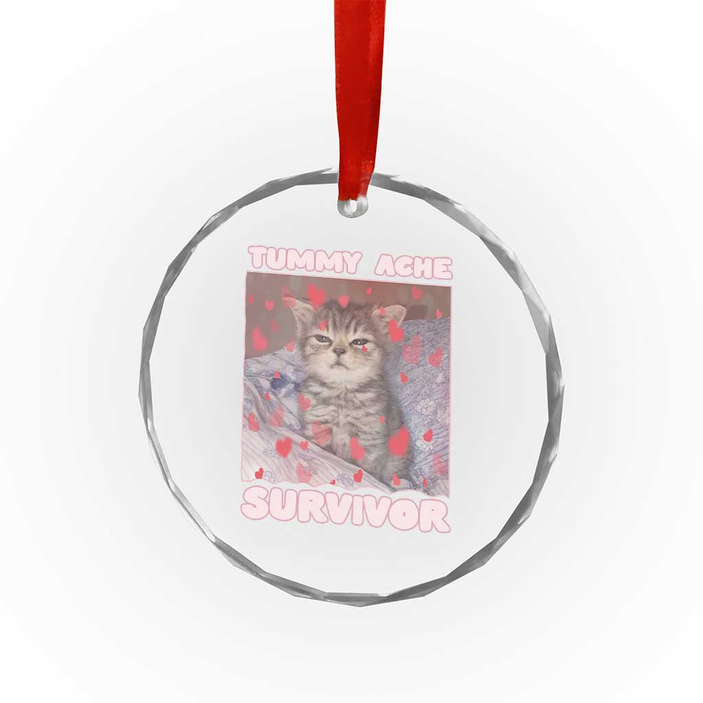 Tummy Ache Survivor Crystal Glass Ornament Funny Cute Cat Meme - Wonder Print Shop