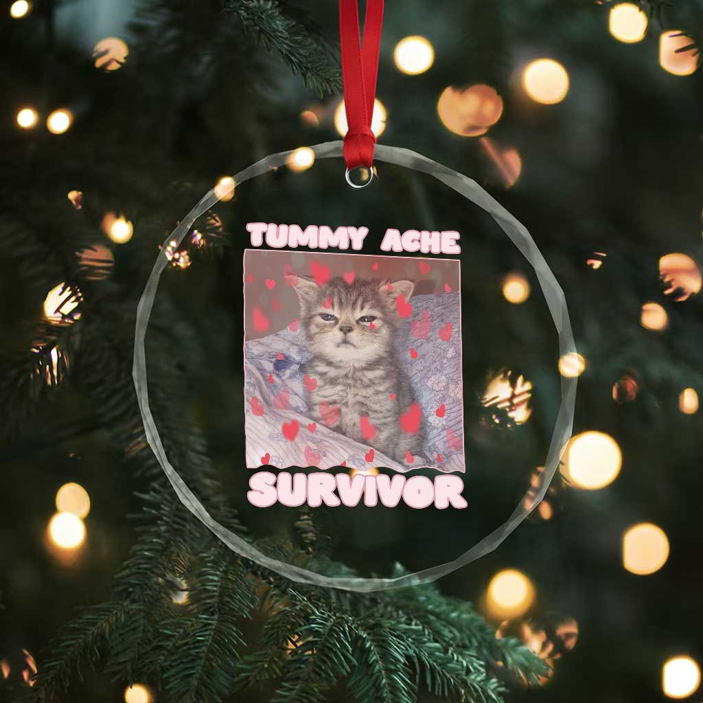 Tummy Ache Survivor Crystal Glass Ornament Funny Cute Cat Meme - Wonder Print Shop