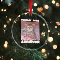Tummy Ache Survivor Crystal Glass Ornament Funny Cute Cat Meme - Wonder Print Shop