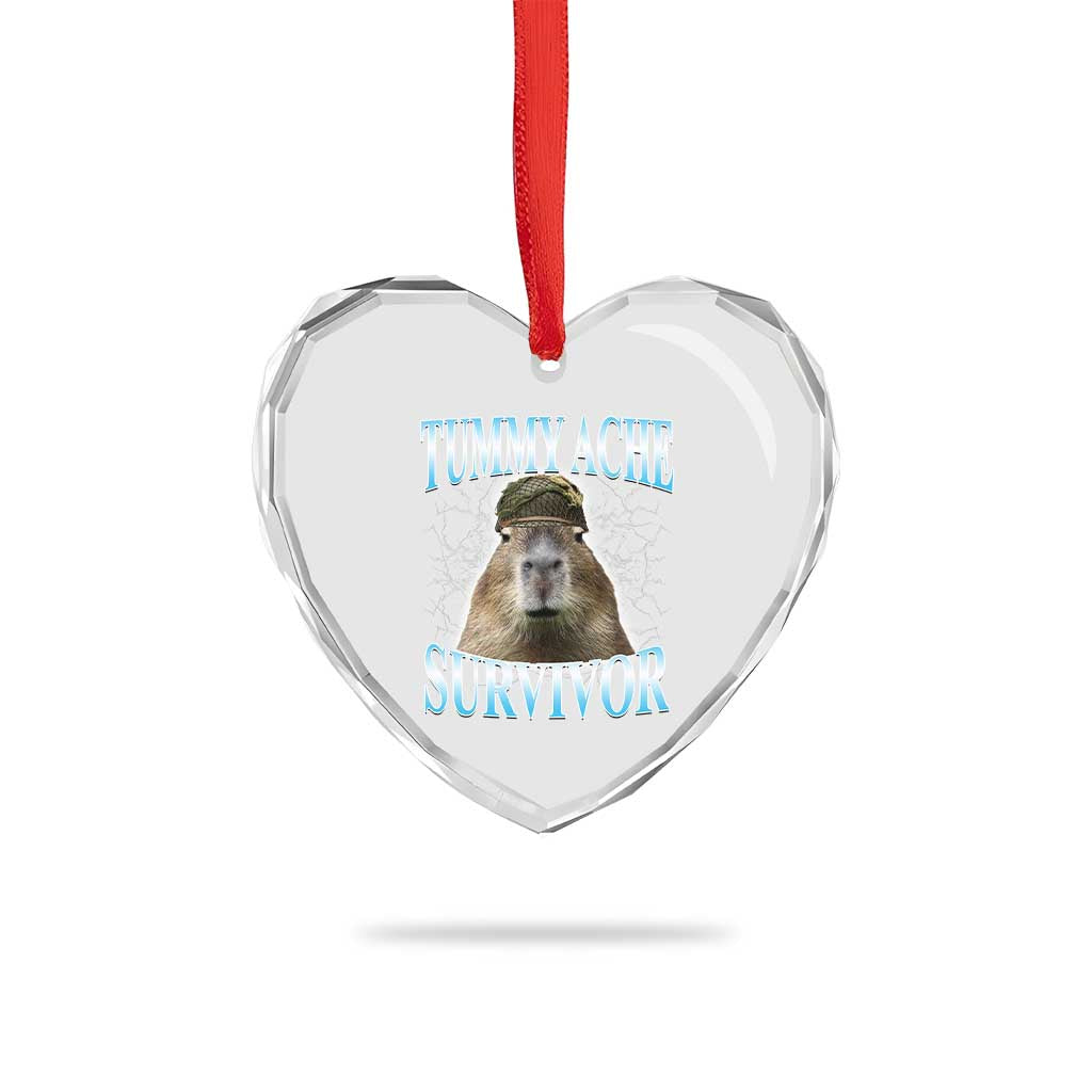 Tummy Ache Survivor Heart Crystal Glass Ornament Funny Capybara Meme For Animal Lover - Wonder Print Shop