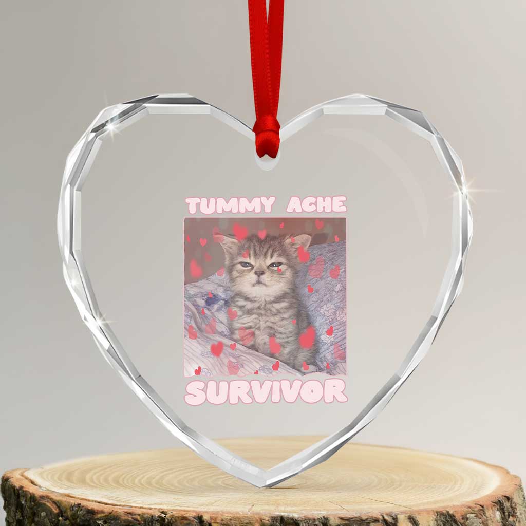 Tummy Ache Survivor Heart Crystal Glass Ornament Funny Cute Cat Meme - Wonder Print Shop