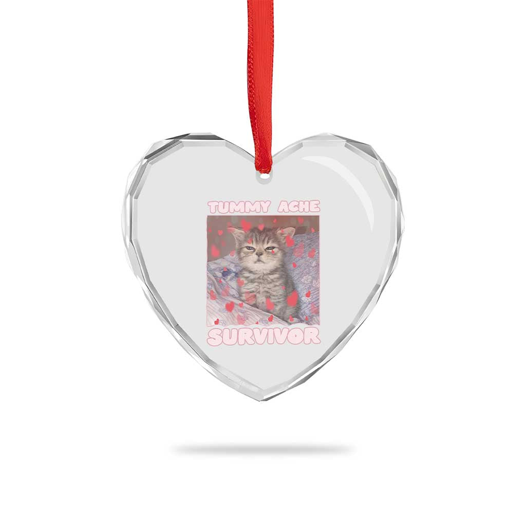 Tummy Ache Survivor Heart Crystal Glass Ornament Funny Cute Cat Meme - Wonder Print Shop