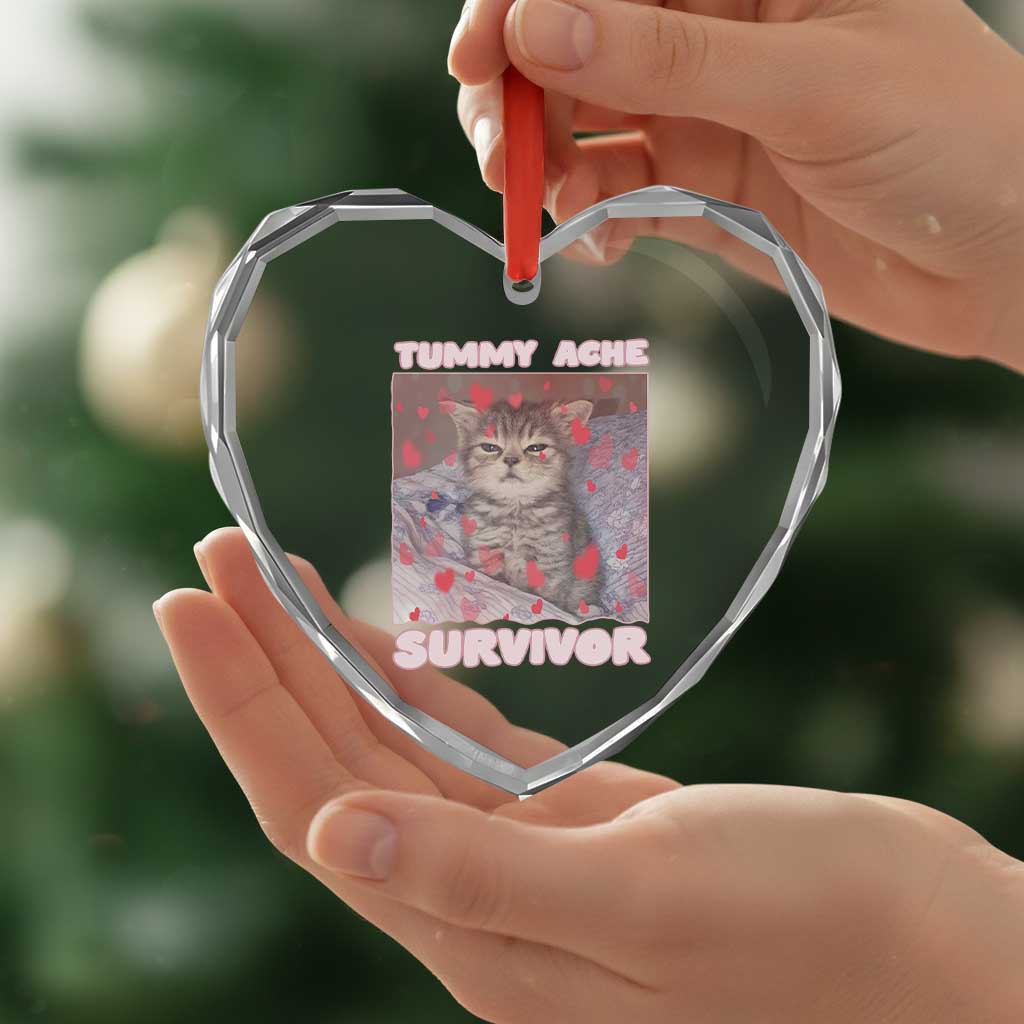 Tummy Ache Survivor Heart Crystal Glass Ornament Funny Cute Cat Meme - Wonder Print Shop