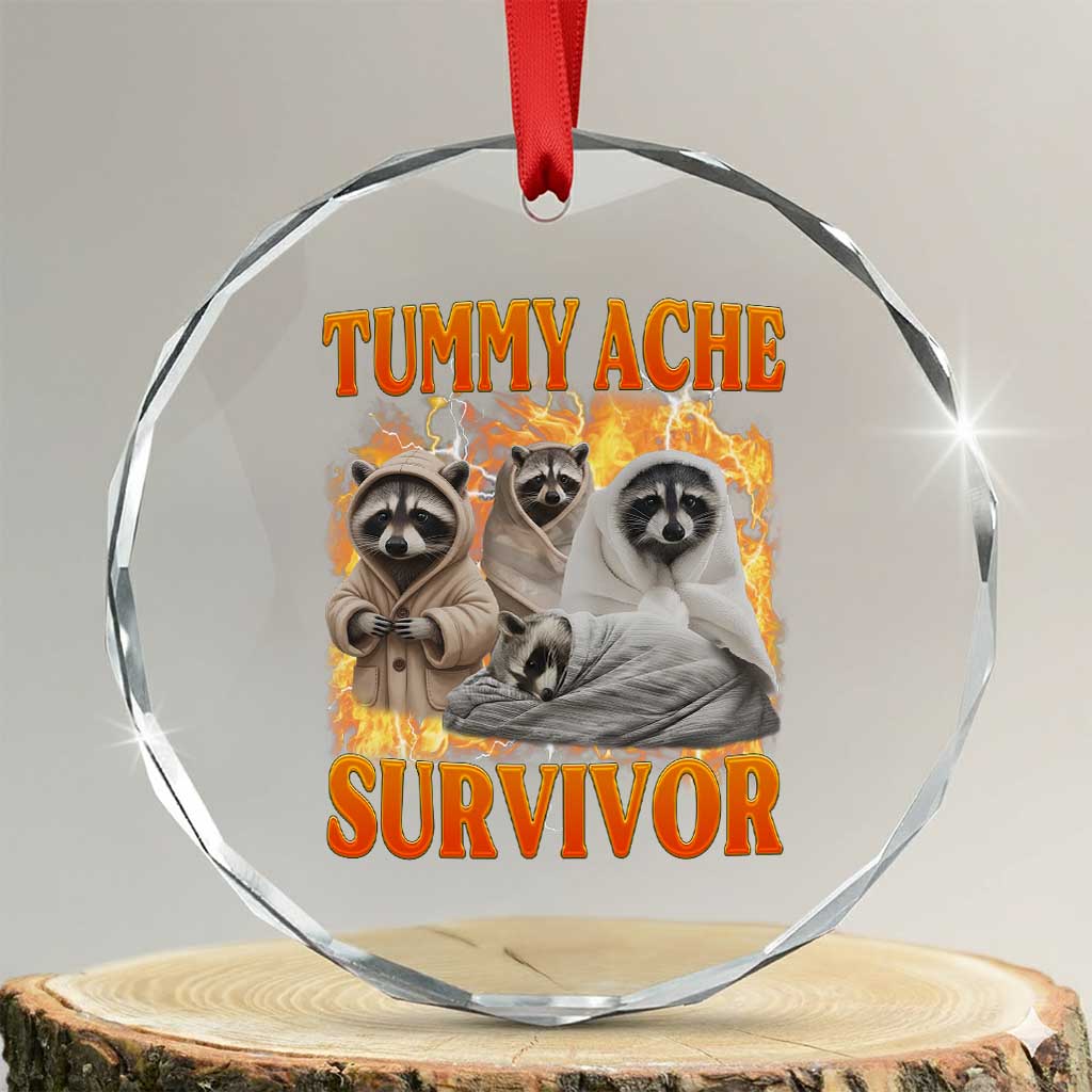Tummy Ache Survivor Raccoon Meme Crystal Glass Ornament