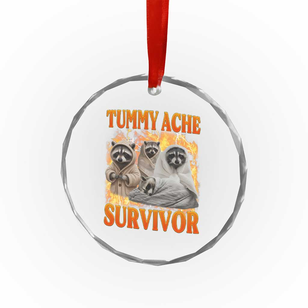 Tummy Ache Survivor Raccoon Meme Crystal Glass Ornament