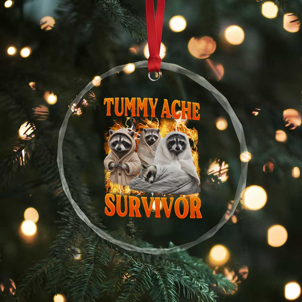 Tummy Ache Survivor Raccoon Meme Crystal Glass Ornament