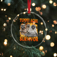 Tummy Ache Survivor Raccoon Meme Crystal Glass Ornament