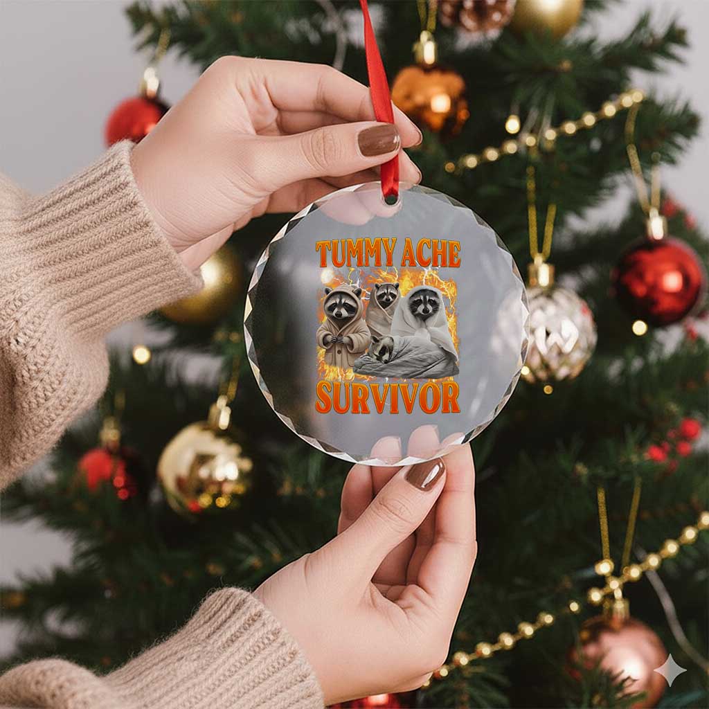 Tummy Ache Survivor Raccoon Meme Crystal Glass Ornament