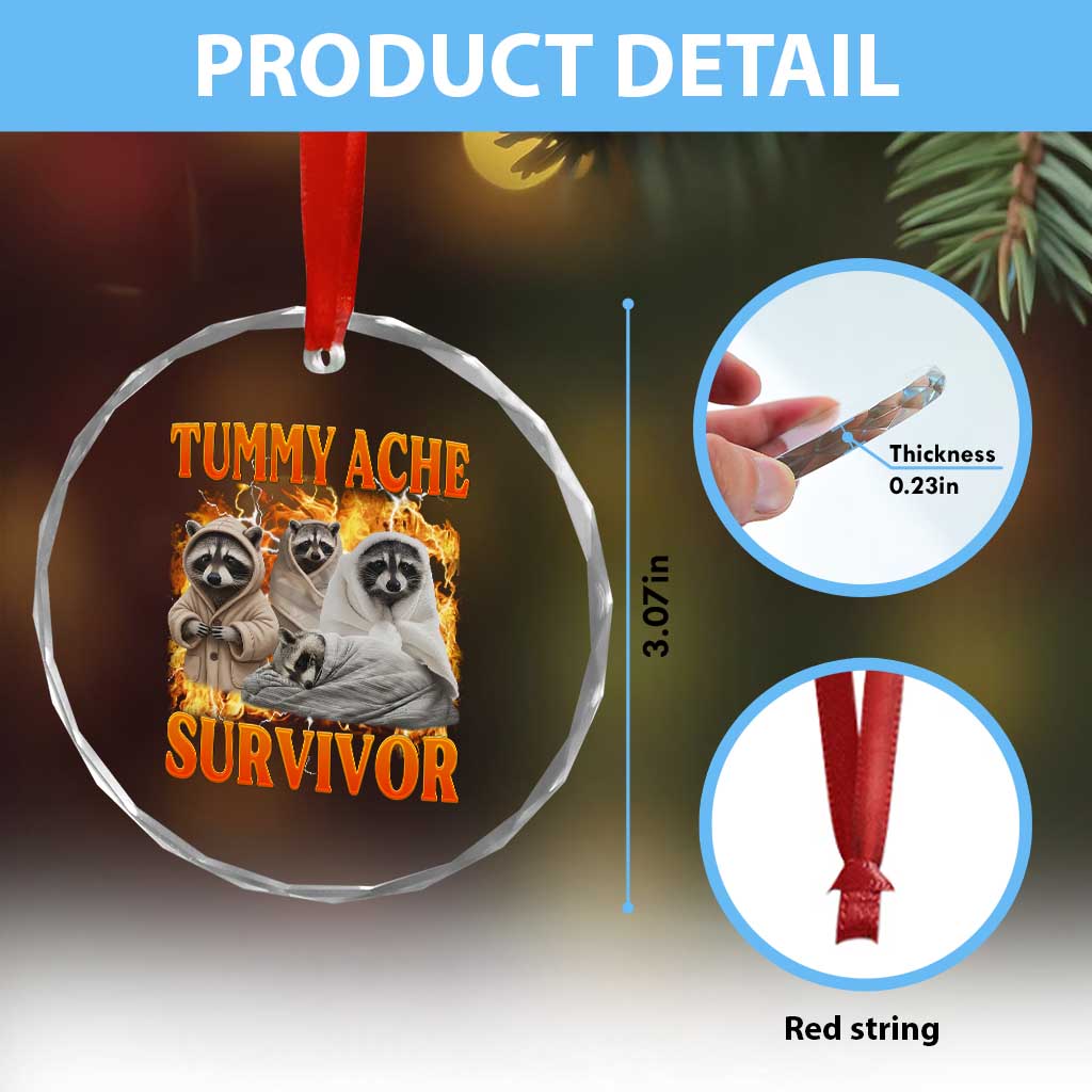 Tummy Ache Survivor Raccoon Meme Crystal Glass Ornament