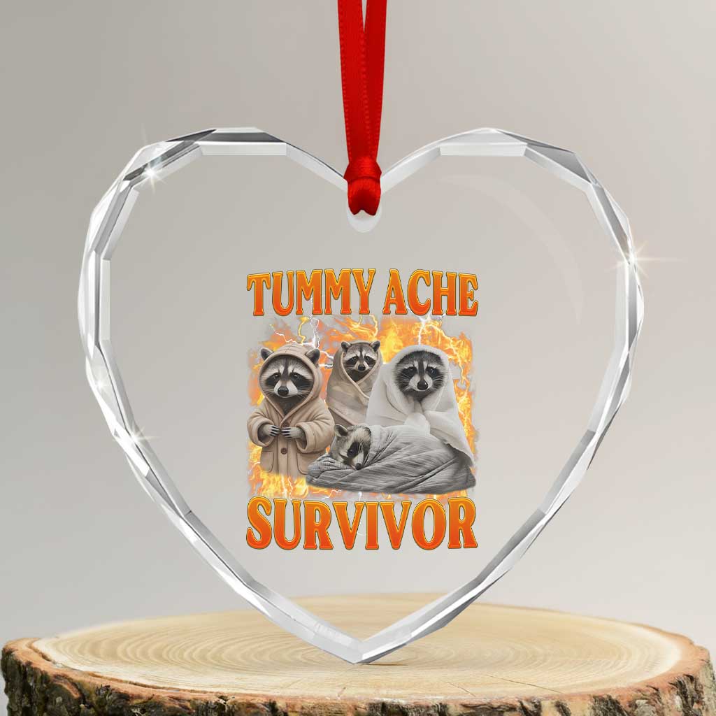 Tummy Ache Survivor Raccoon Meme Heart Crystal Glass Ornament