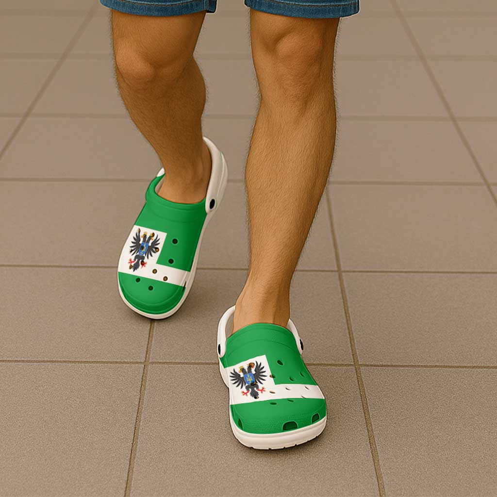 Ukraine Chernihiv Oblast Clogs Shoes Flag Color Inspiration