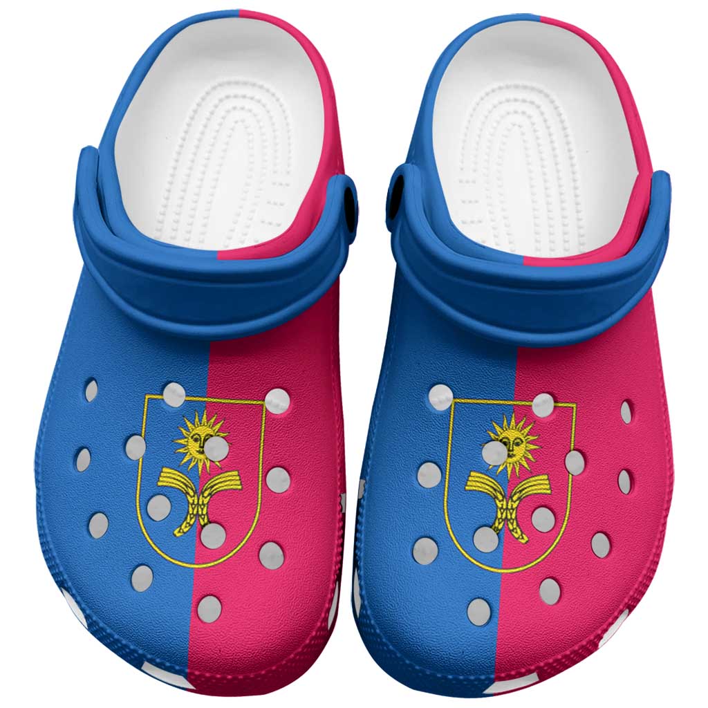 Ukraine Khmelnytskyi Oblast Clogs Shoes Flag Color Inspiration