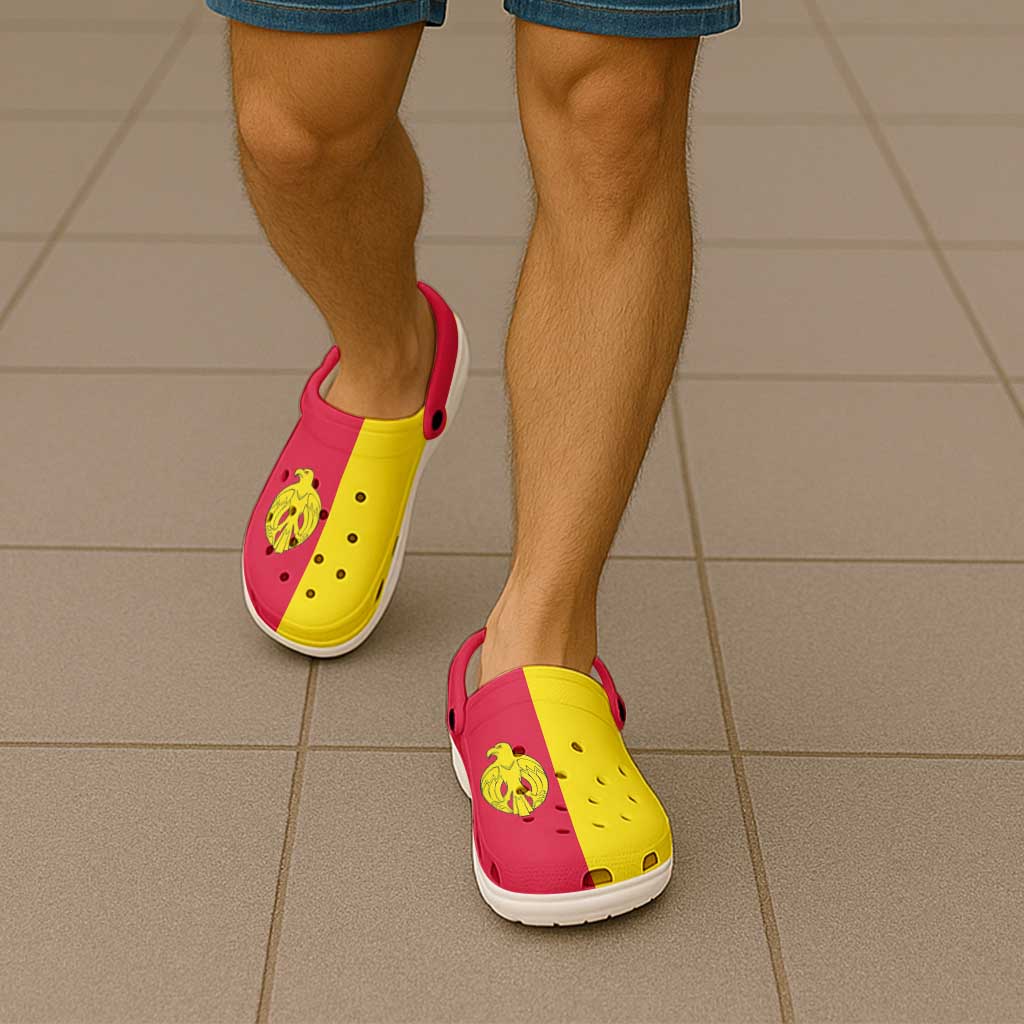 Ukraine Kirovohrad Oblast Clogs Shoes Flag Color Inspiration