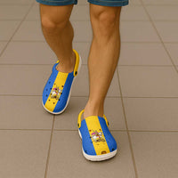 Ukraine Kyiv Oblast Clogs Shoes Flag Color Inspiration