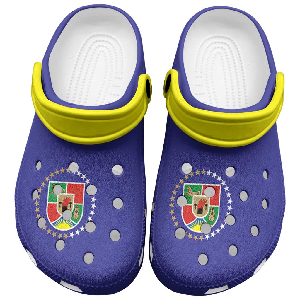 Ukraine Luhansk Oblast Clogs Shoes Flag Color Inspiration