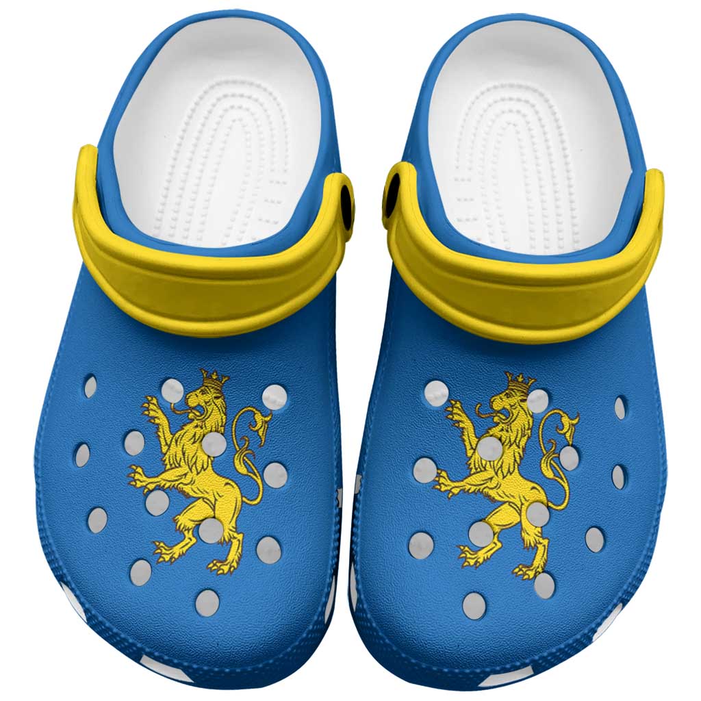 Ukraine Lviv Oblast Clogs Shoes Flag Color Inspiration