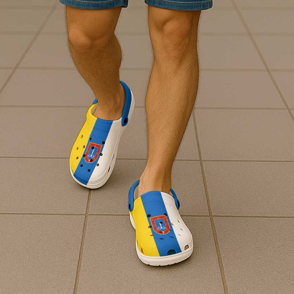 Ukraine Odesa Oblast Clogs Shoes Flag Color Inspiration