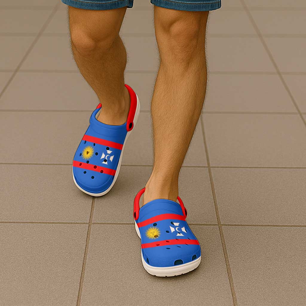 Ukraine Vinnytsia Oblast Clogs Shoes Flag Color Inspiration
